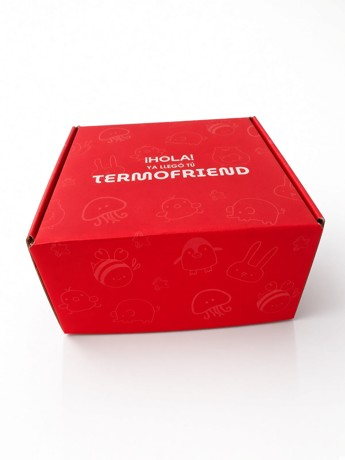 Caja de regalo Termofriends