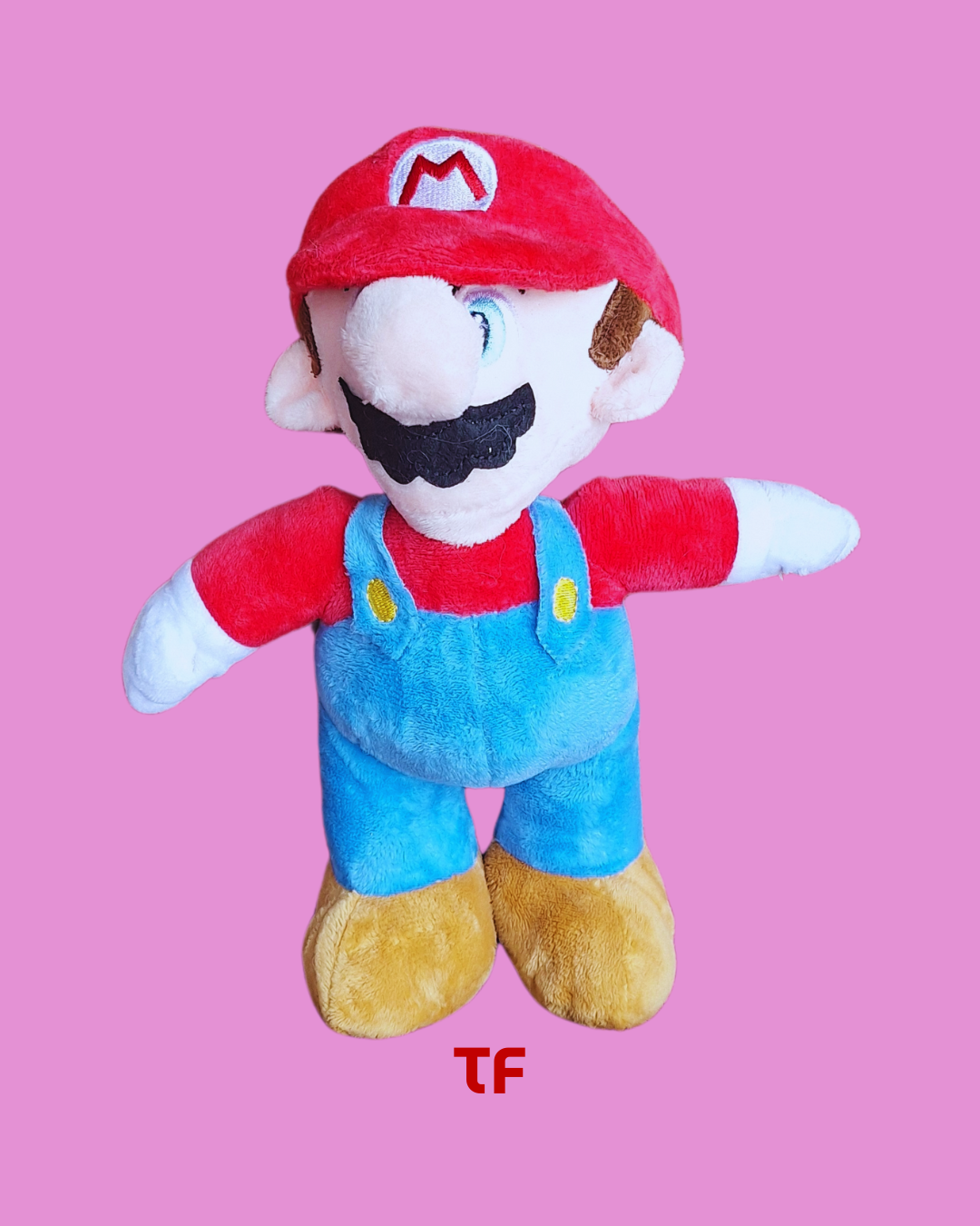 Mario Termofriend